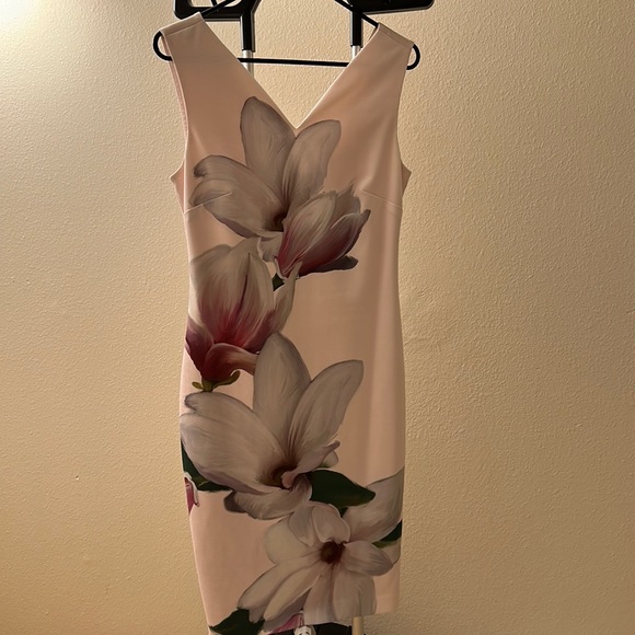 Ted Baker Dress - Picture 1 of 3